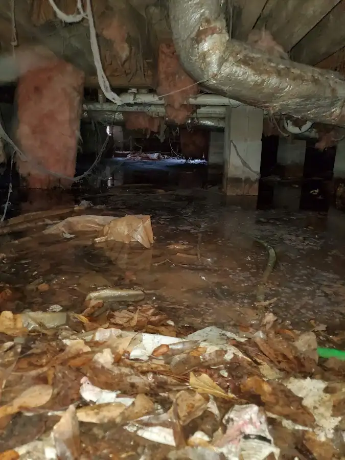 Crawl space flood assessment for Commercial Water Damage Restoration in Hammond
