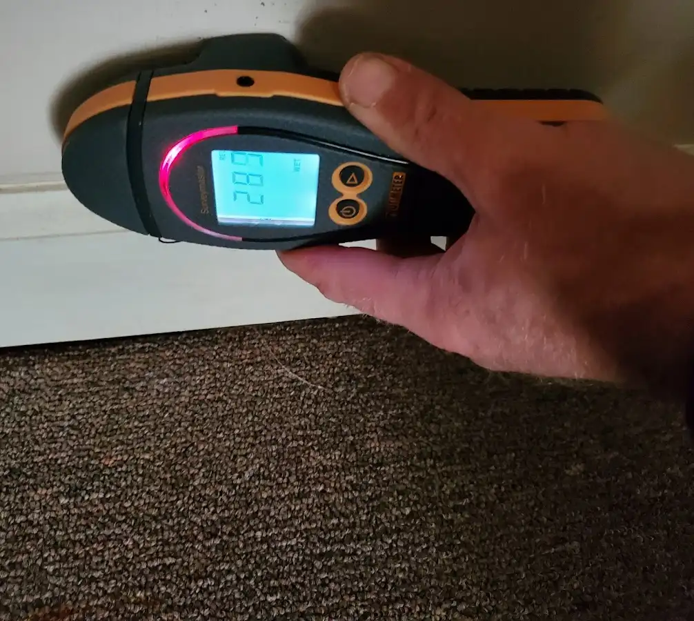 Moisture detection at baseboard during Mold Inspection & Testing in Hammond